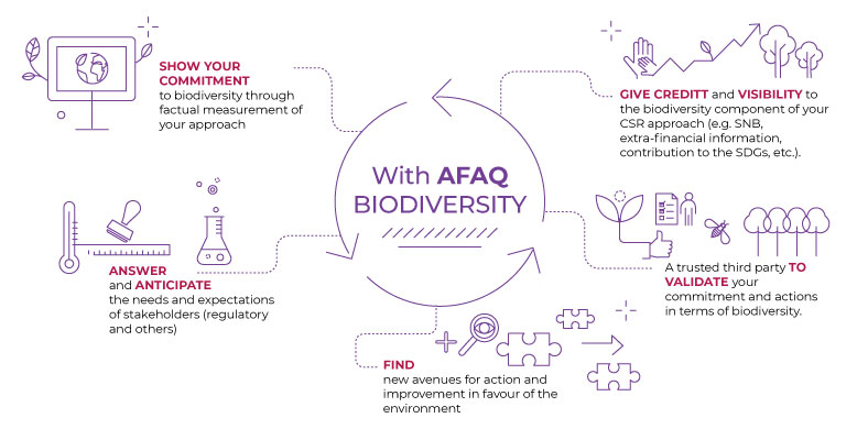 AFAQ biodiversity infographic