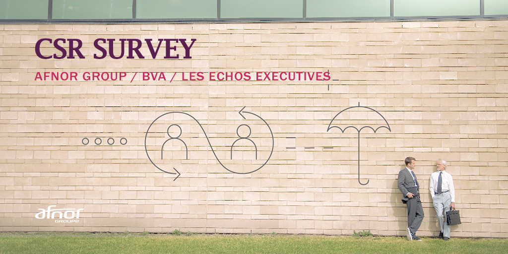 Afnor CSR Survey banner