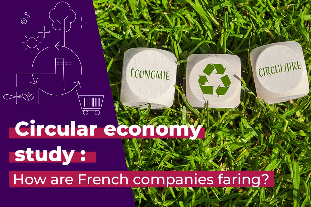 Circular economy study banner