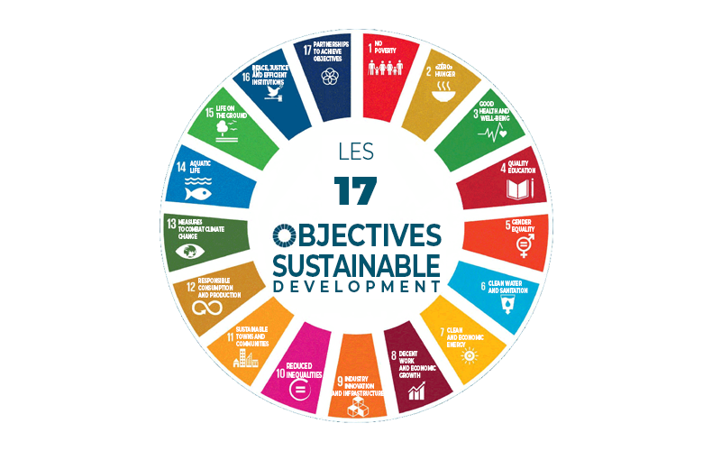 Les 17 objectifs de développement durable (ODD)