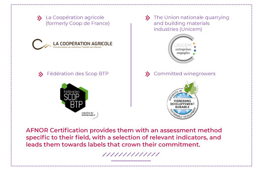 Afnor Diagram: Adapting ISO 26000 to your sector and activity