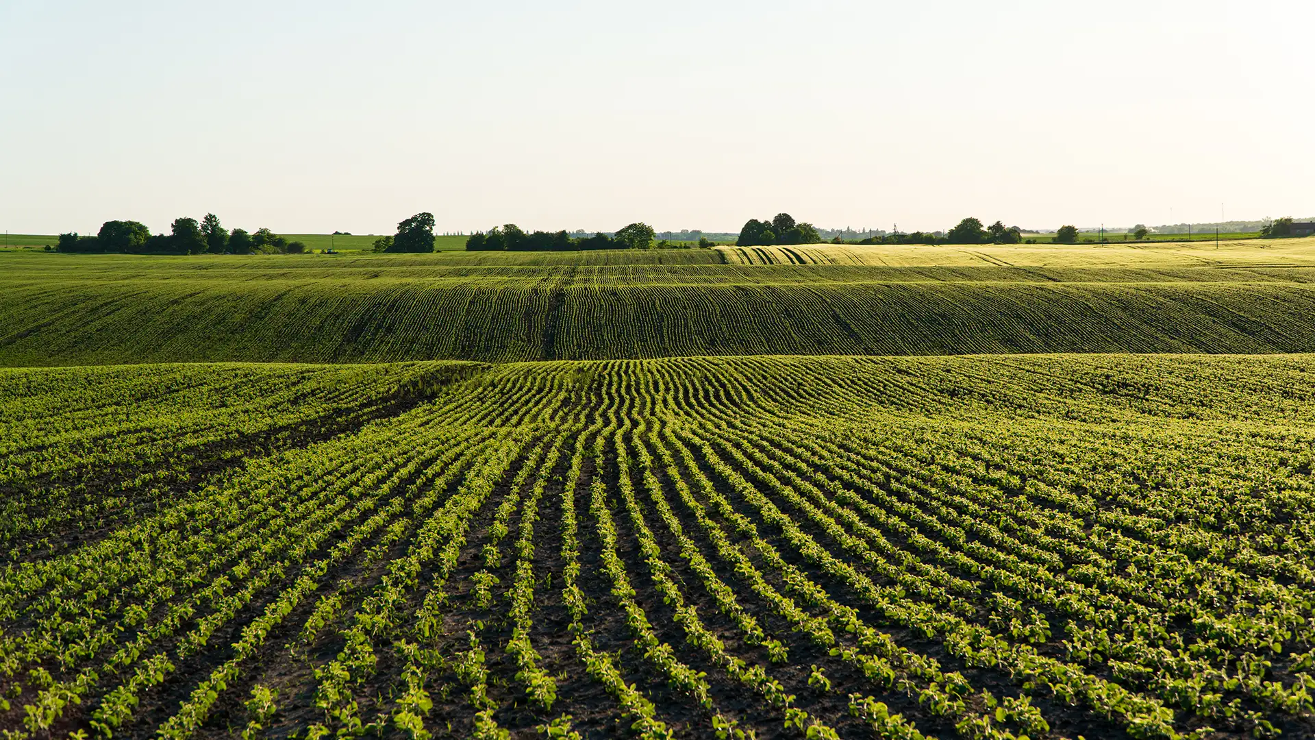 Résilience alimentaire des territoires : un nouveau guide de bonnes pratiques